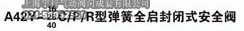 A42Y型弹簧全启封闭式安全阀(图2)