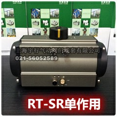 RT单作用.jpg