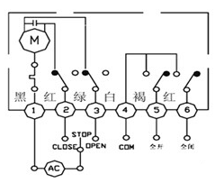 MS型