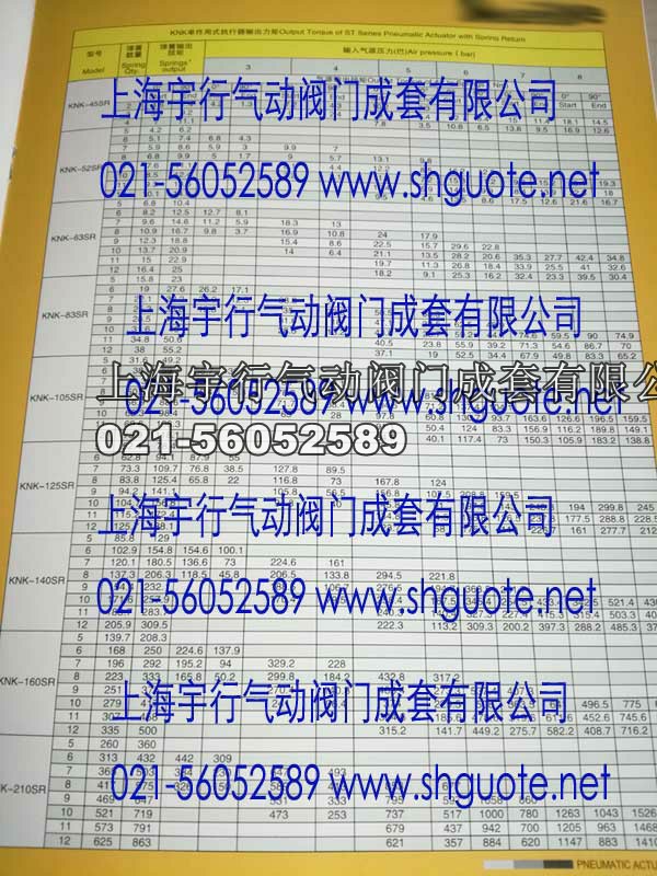 KNK不锈钢气动执行器-KNK-45DA(图5)